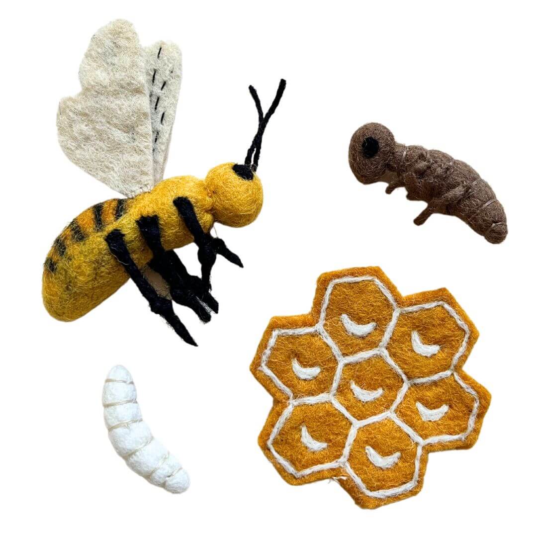 Felted Honey Bee Life Stages Set with Playmat