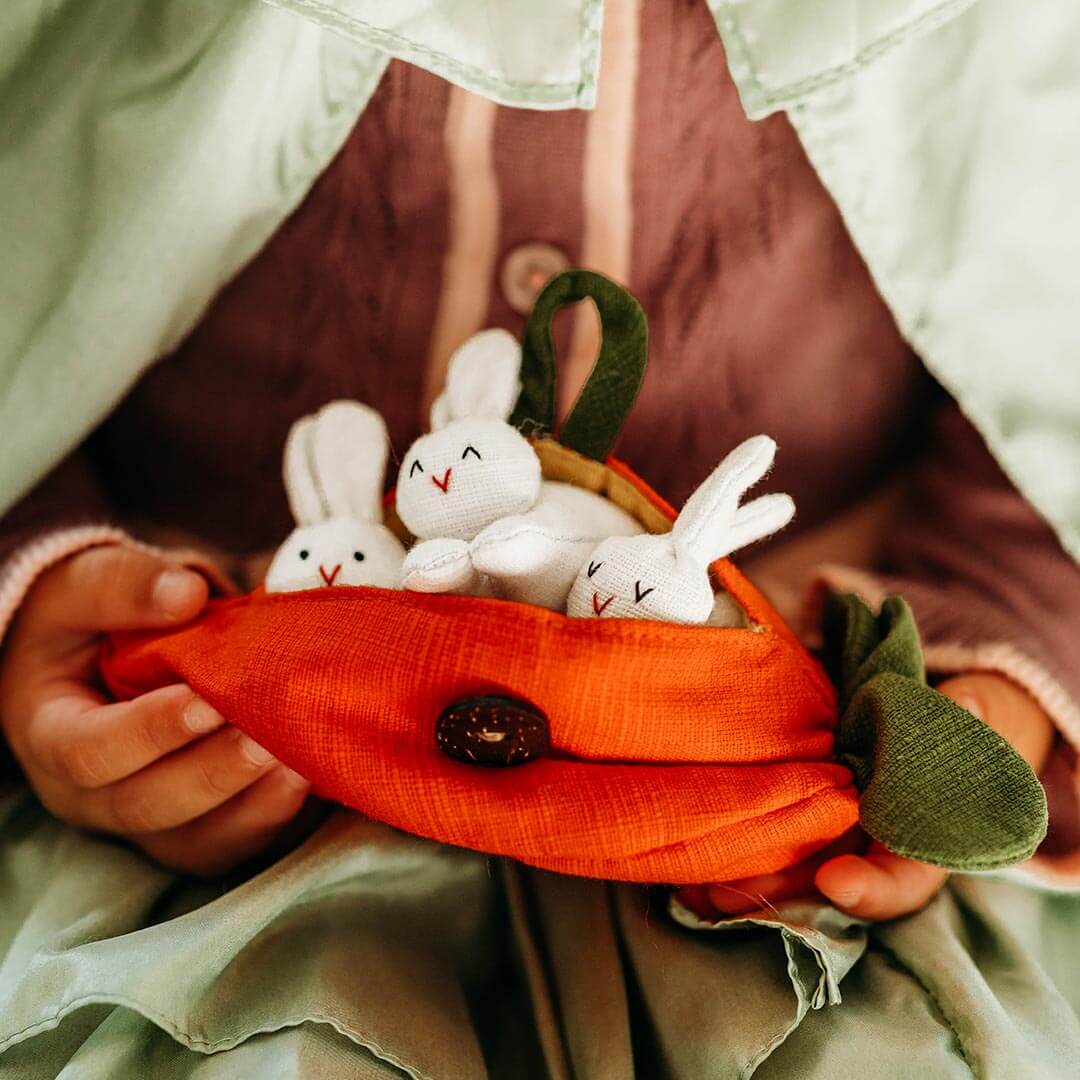 Hide-and-Seek Bunnies in Carrot Pouch