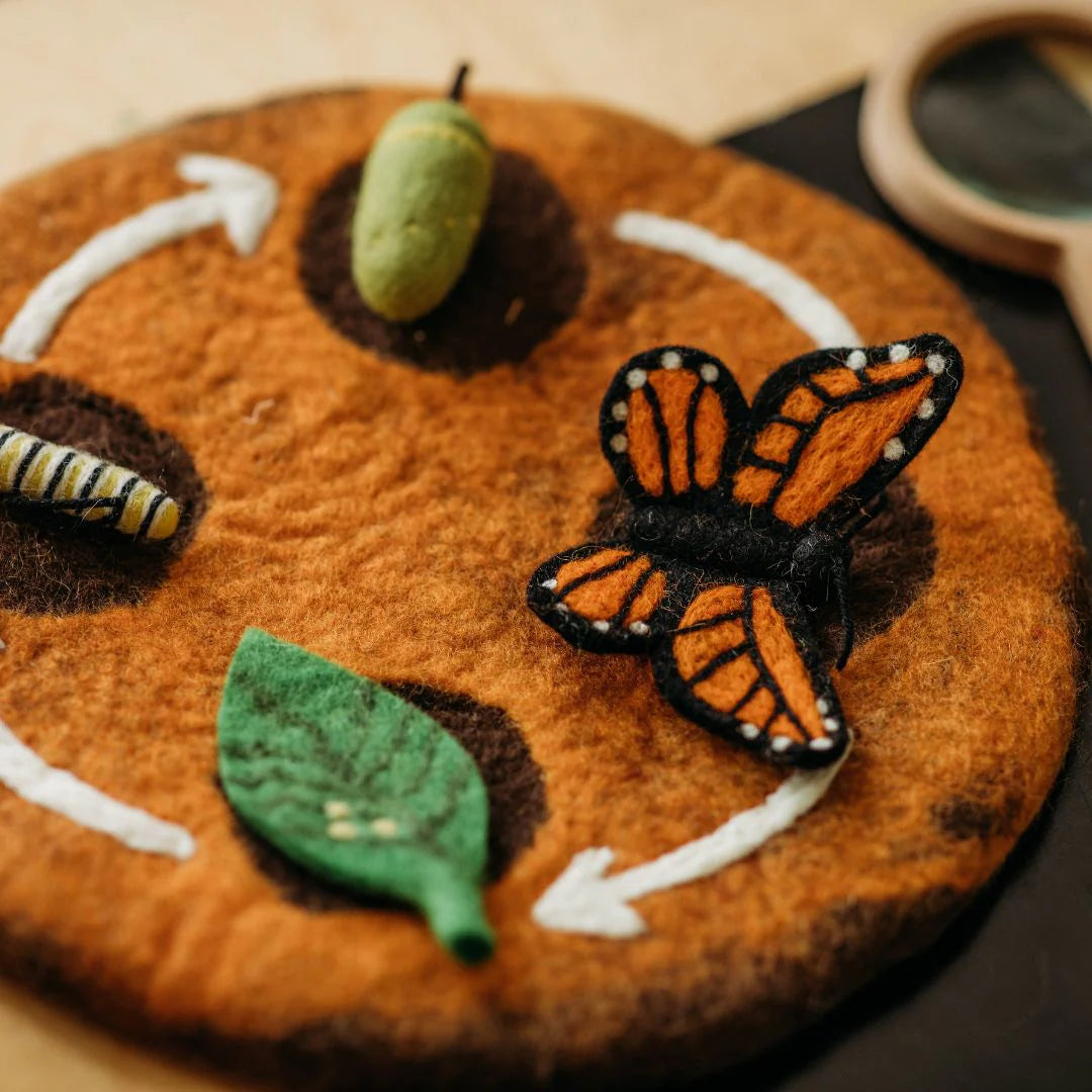 Felted Butterfly Life Stages Set with Playmat