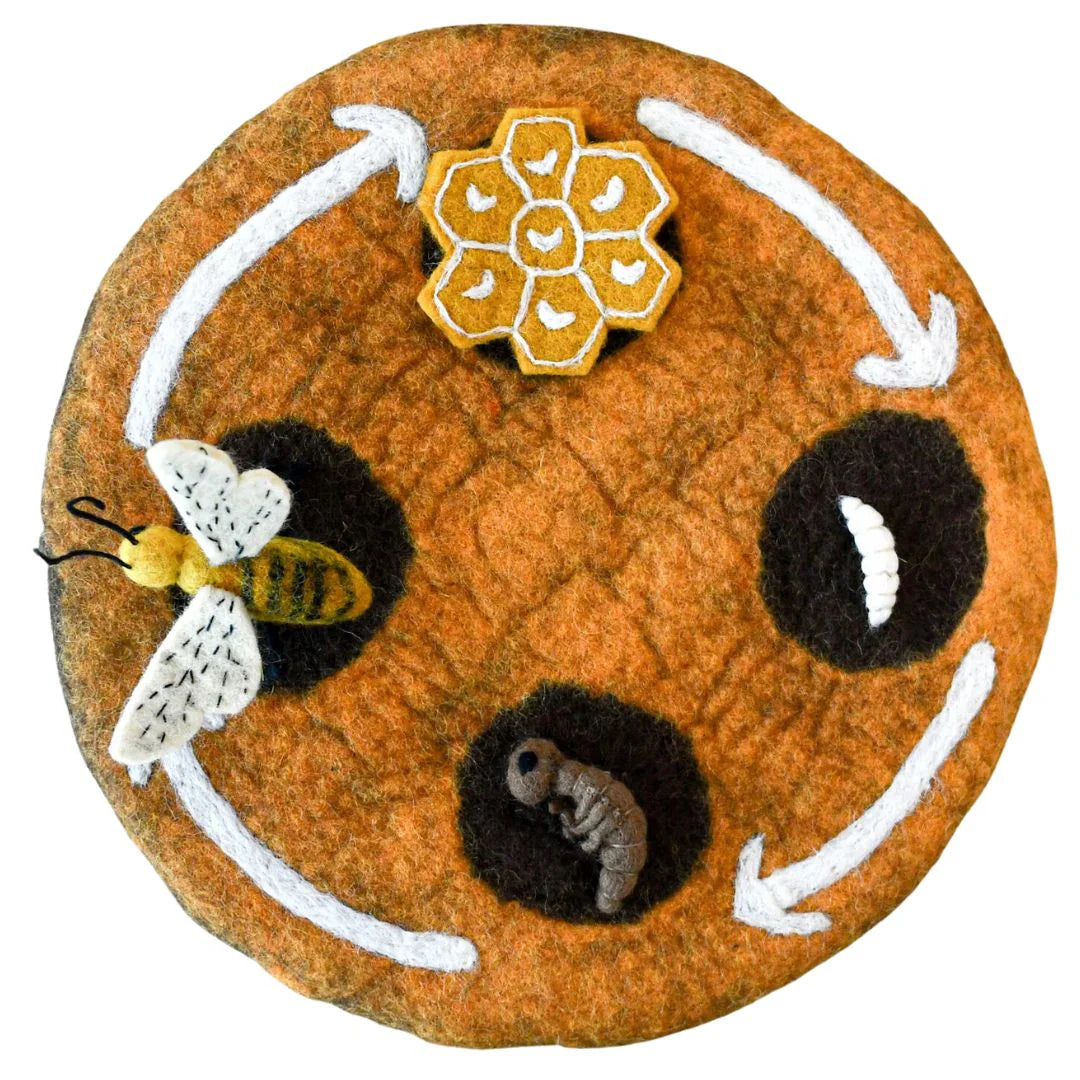 Felt Lifecycle of a Honey Bee