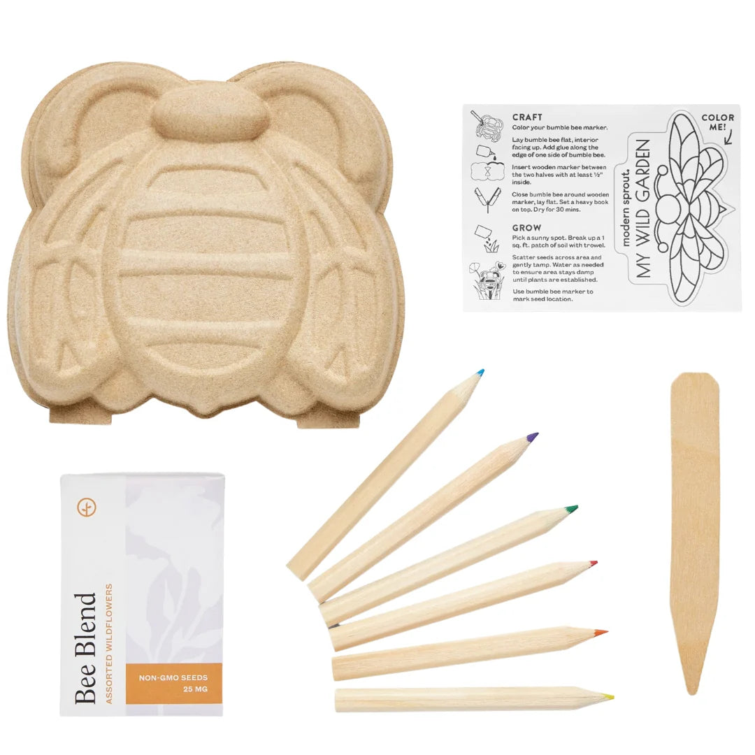 Curious Critter Bee Garden Kit