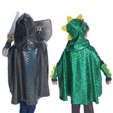 Dragon & Knight Reversible Costume