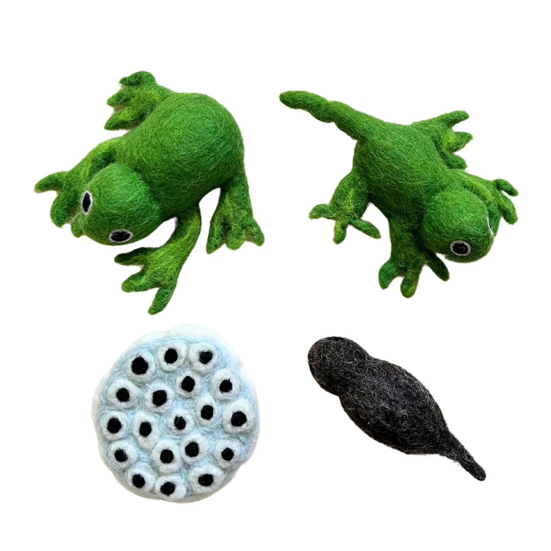 Felt Lifecycle of a Frog Set