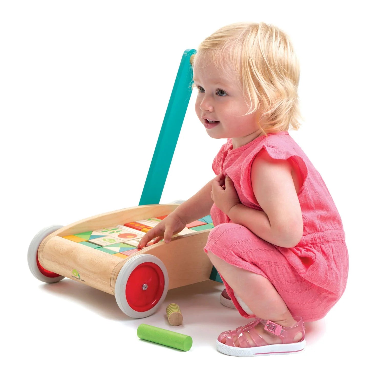 Wooden Baby Walker and Garden Blocks Set