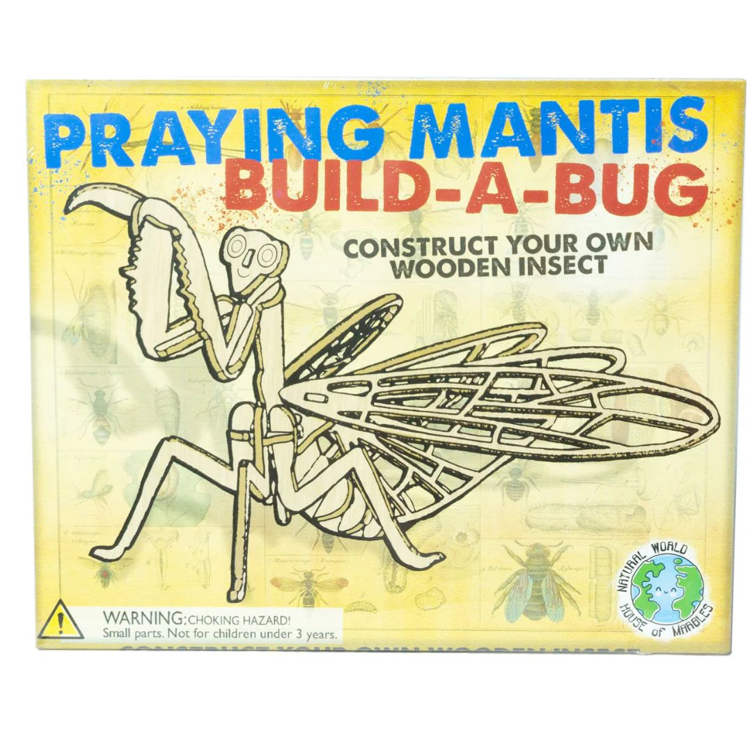 Wooden Build A Bug Kit