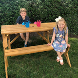 2 in 1 Picnic Table and Bench