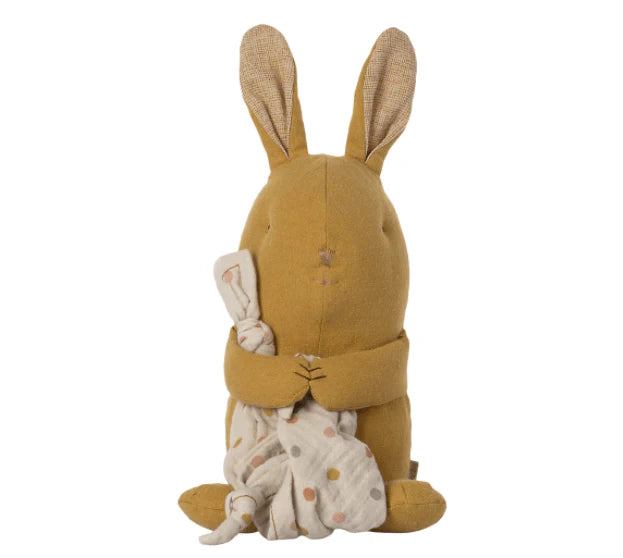 Lullaby Friends Bunny Gift Set