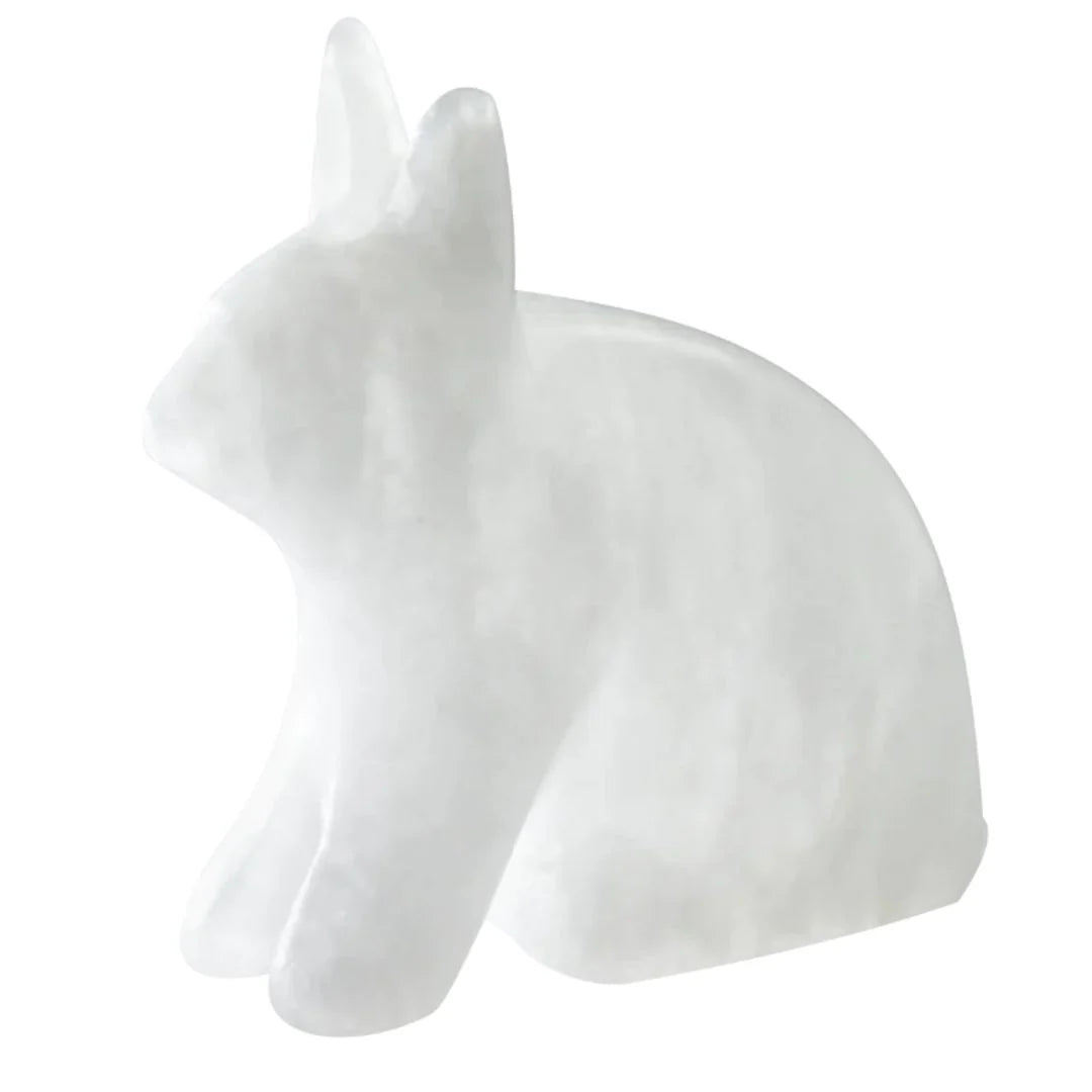 Arctic Hare Alabaster Carving Kit