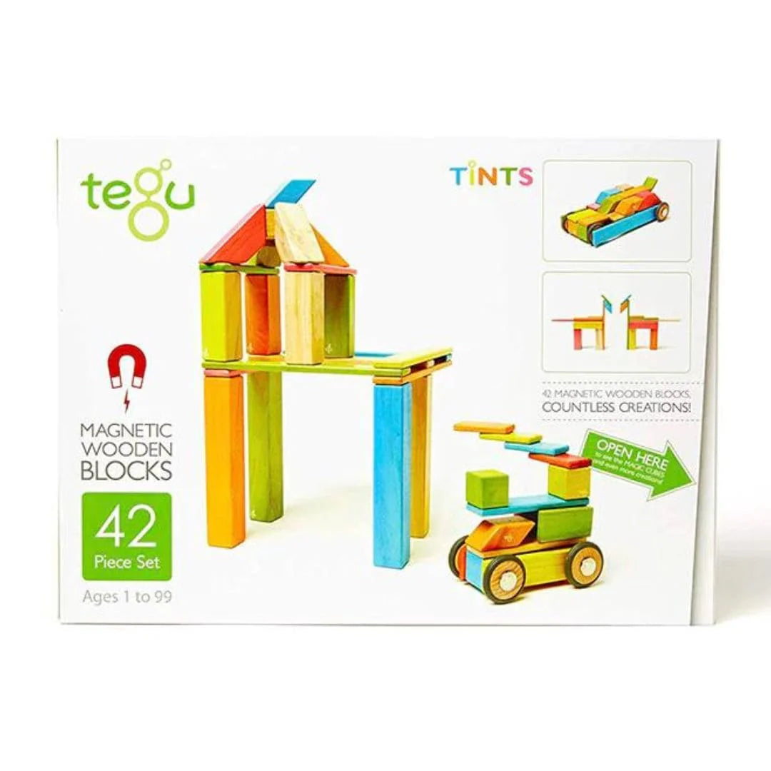 Magnetic Wooden Blocks - 42 Piece Set Tints