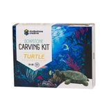 Turtle Soapstone Carving Kit