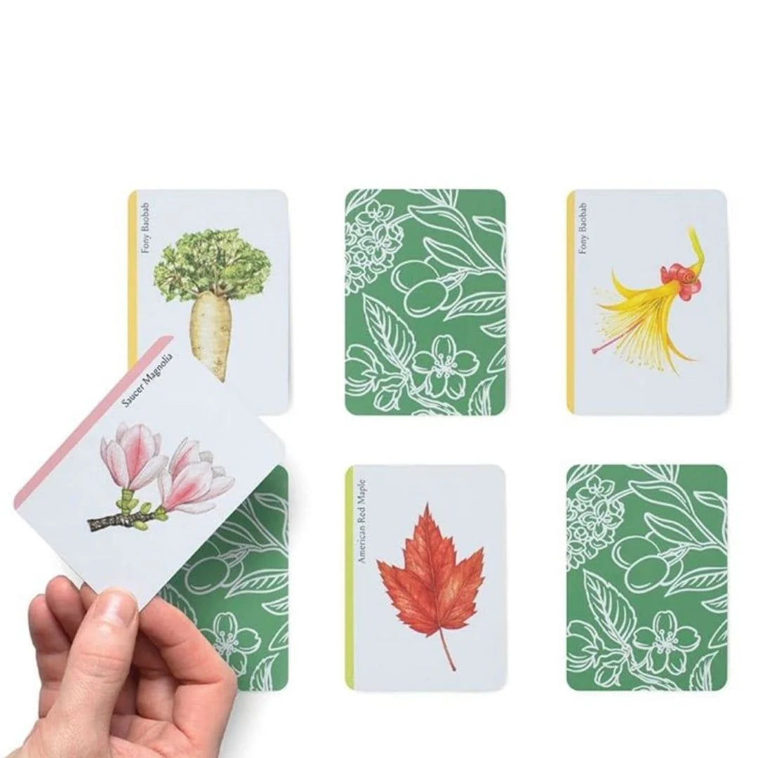 Tree Families: A Botanical Card Game