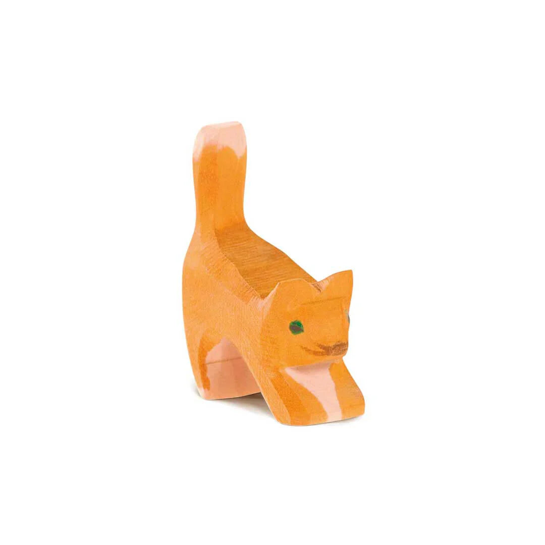 Ostheimer Small Orange Cat, Head Low