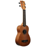 Soprano Ukulele - Learn to Play Starter Kit