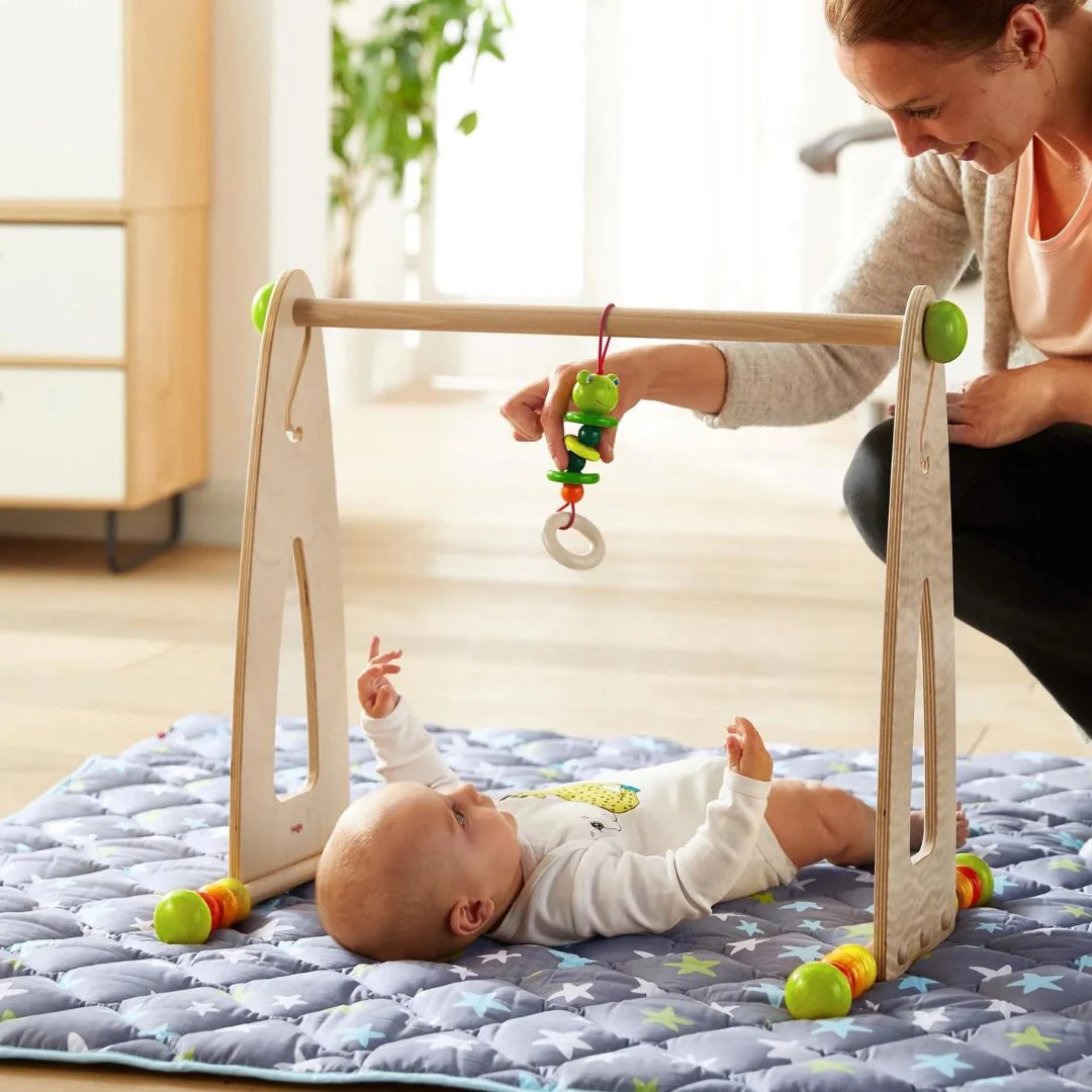 Color Fun Wooden Play Gym And Activity Center