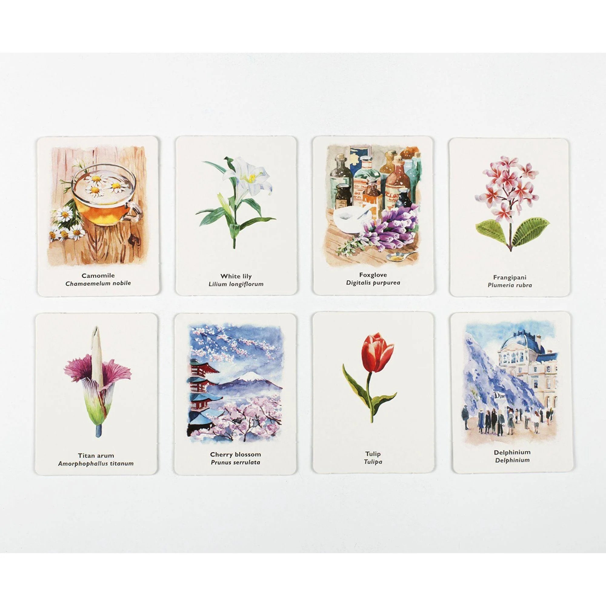 Pick a Flower Memory Card Game