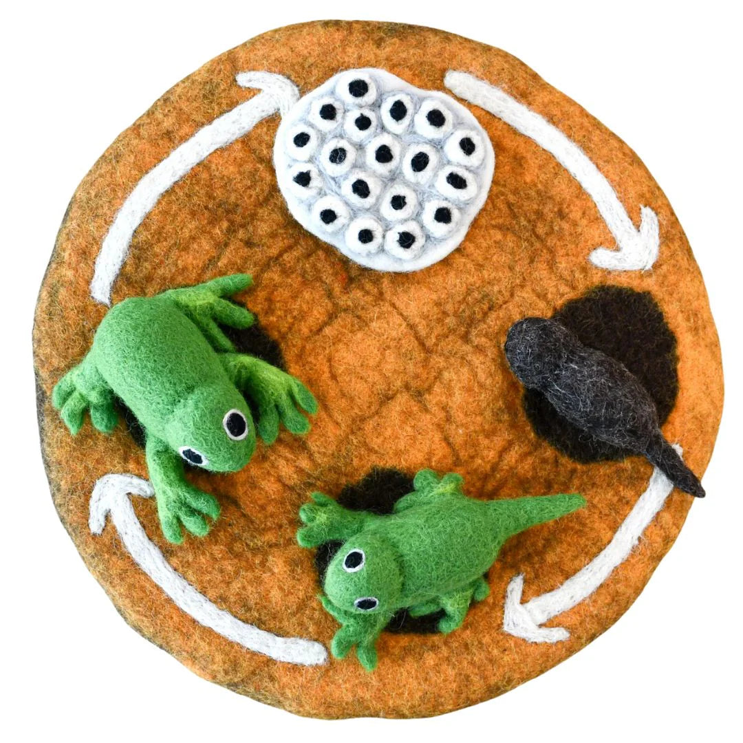 Felt Lifecycle of a Frog Set