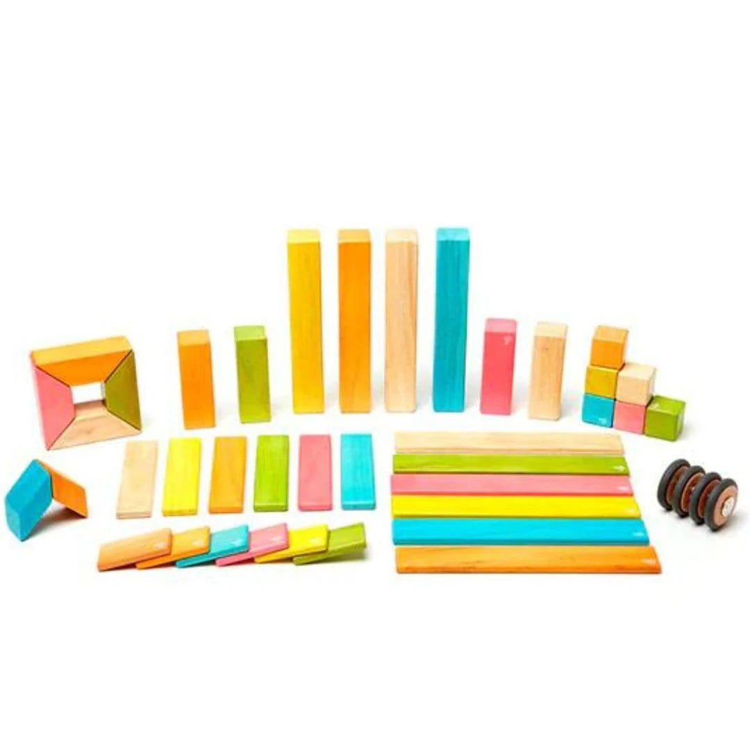 Magnetic Wooden Blocks - 42 Piece Set Tints