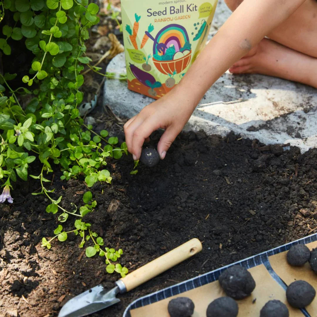 DIY Seed Ball Kit  Rainbow Garden