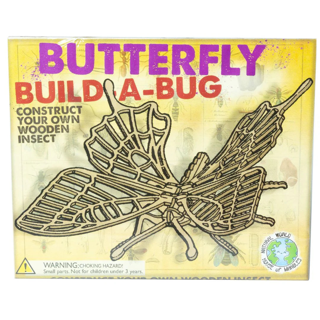 Wooden Build A Bug Kit