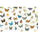 Butterfly Wings Matching Game