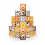 Hebrew Wooden Alphabet Blocks