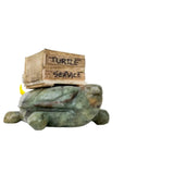 Turtle Soapstone Carving Kit