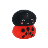 LEGO® DUPLO™ Ladybug