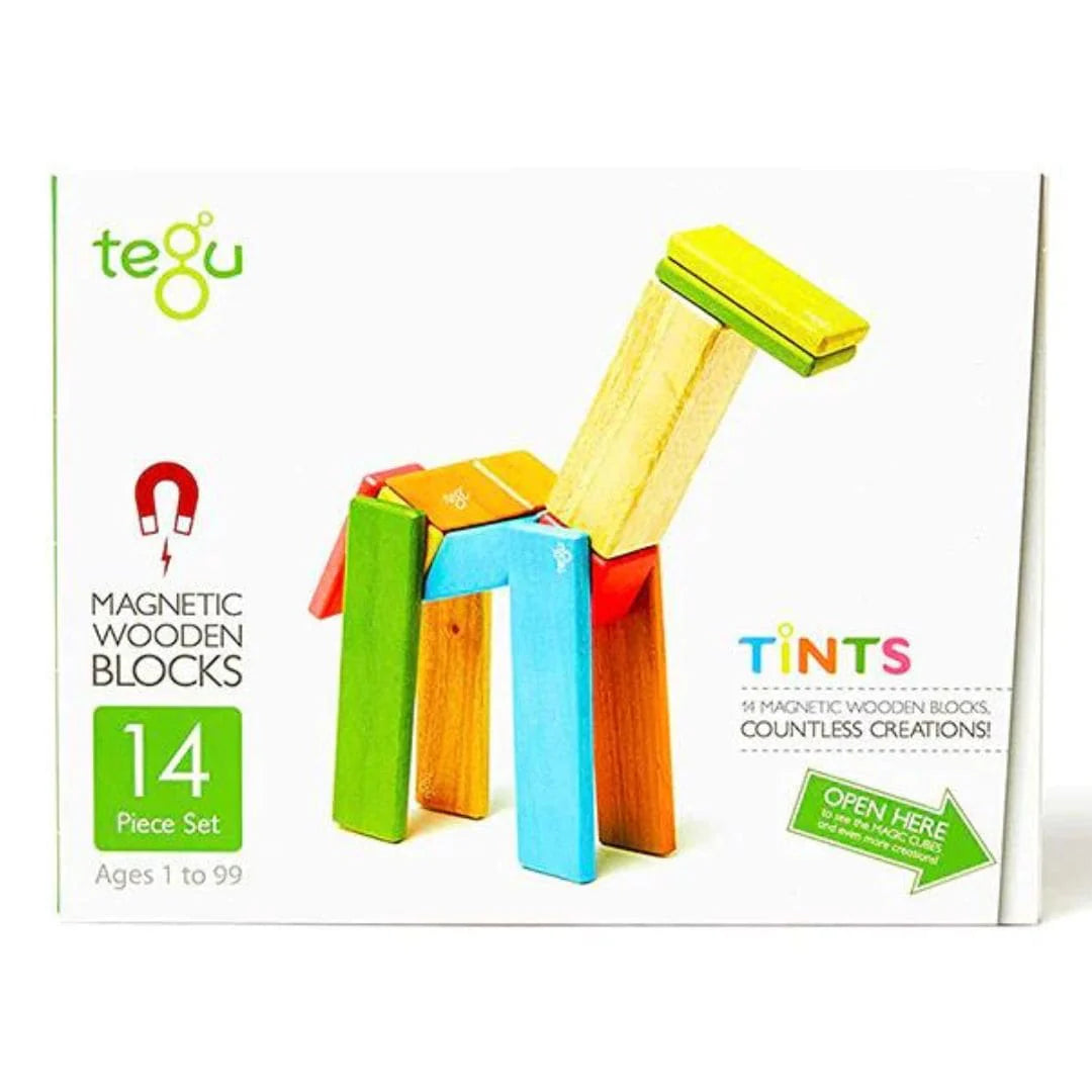 Magnetic Wooden Blocks - 14 Piece Set Tints