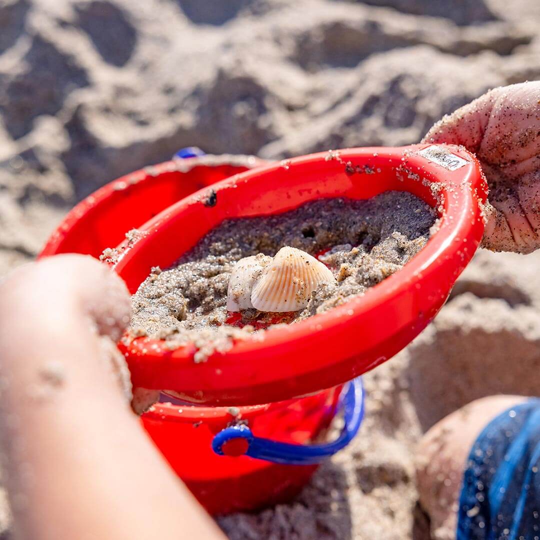 Small Sand Sieve