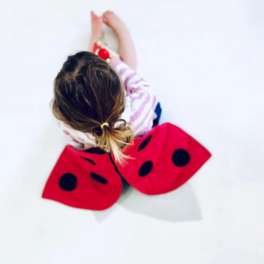 Ladybug Wings Costume