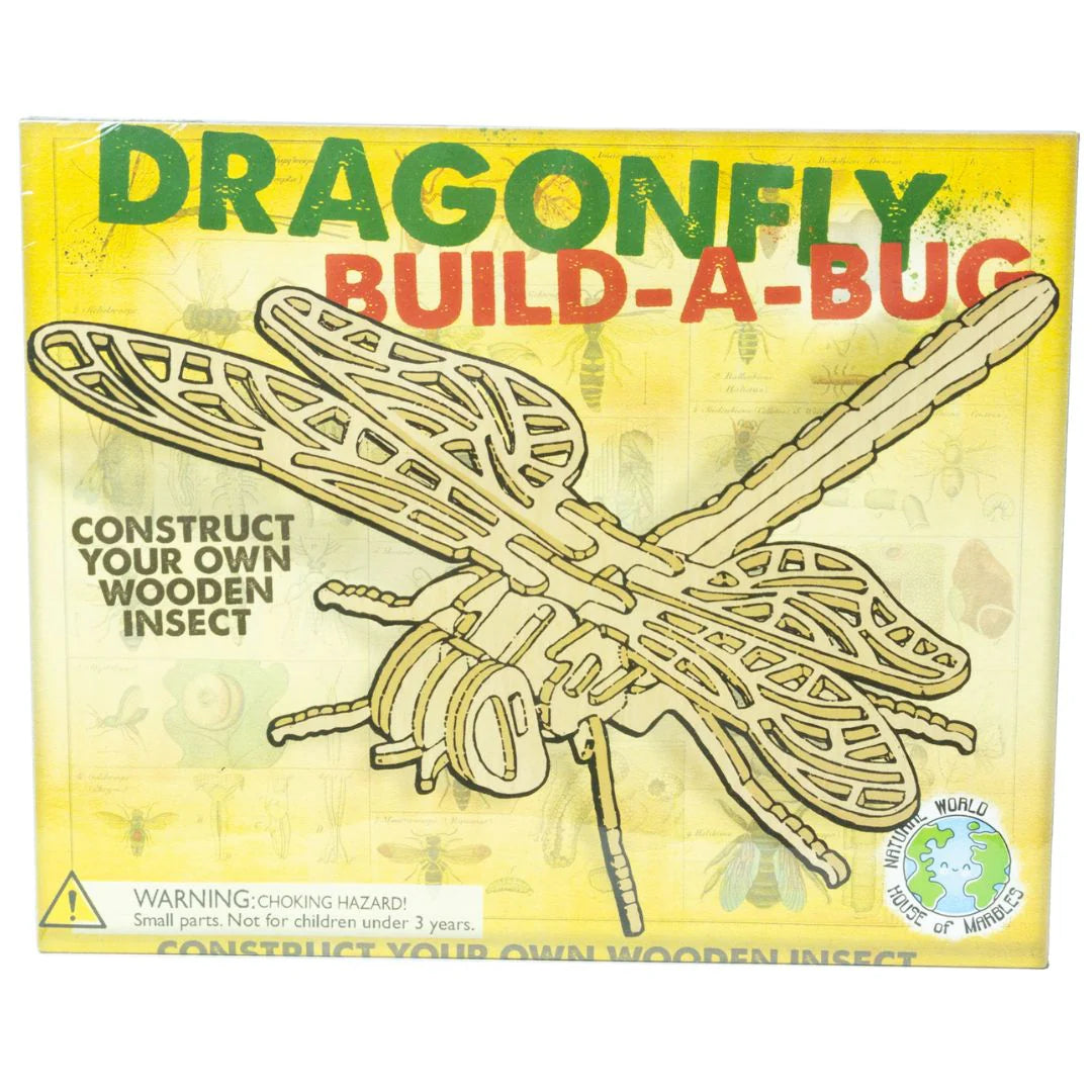 Wooden Build A Bug Kit