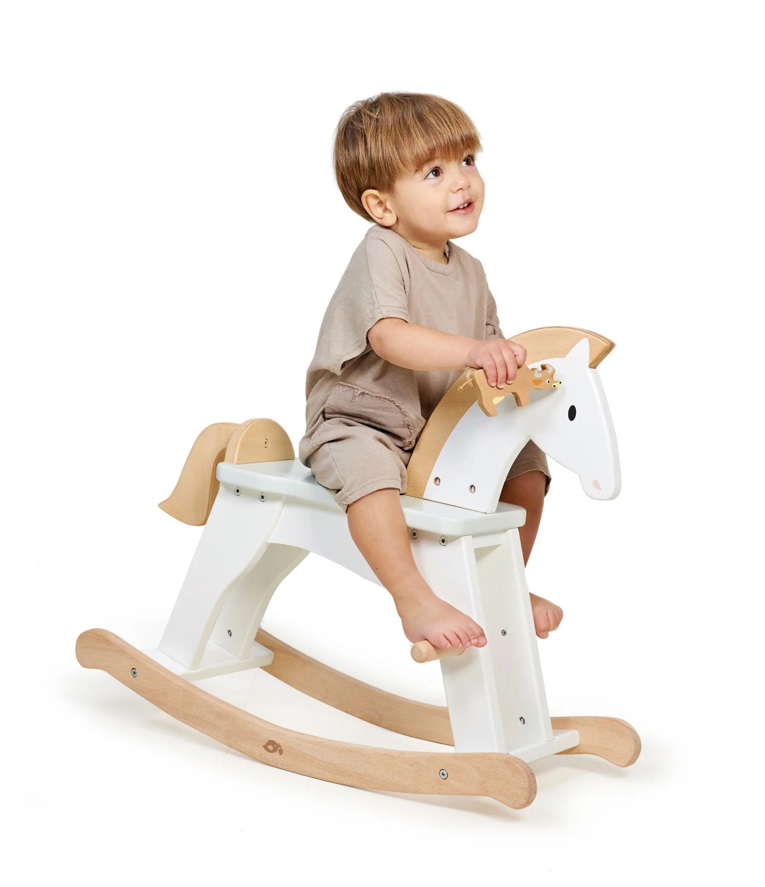 Lucky Wooden Rocking Horse