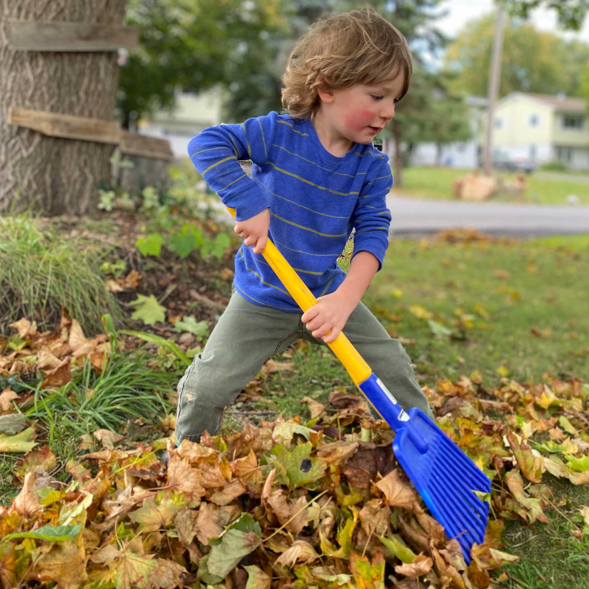 Children's Long Handled Leaf Rake