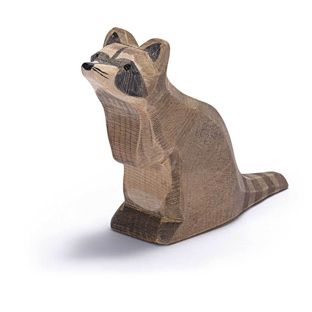 Ostheimer Raccoon, Sitting