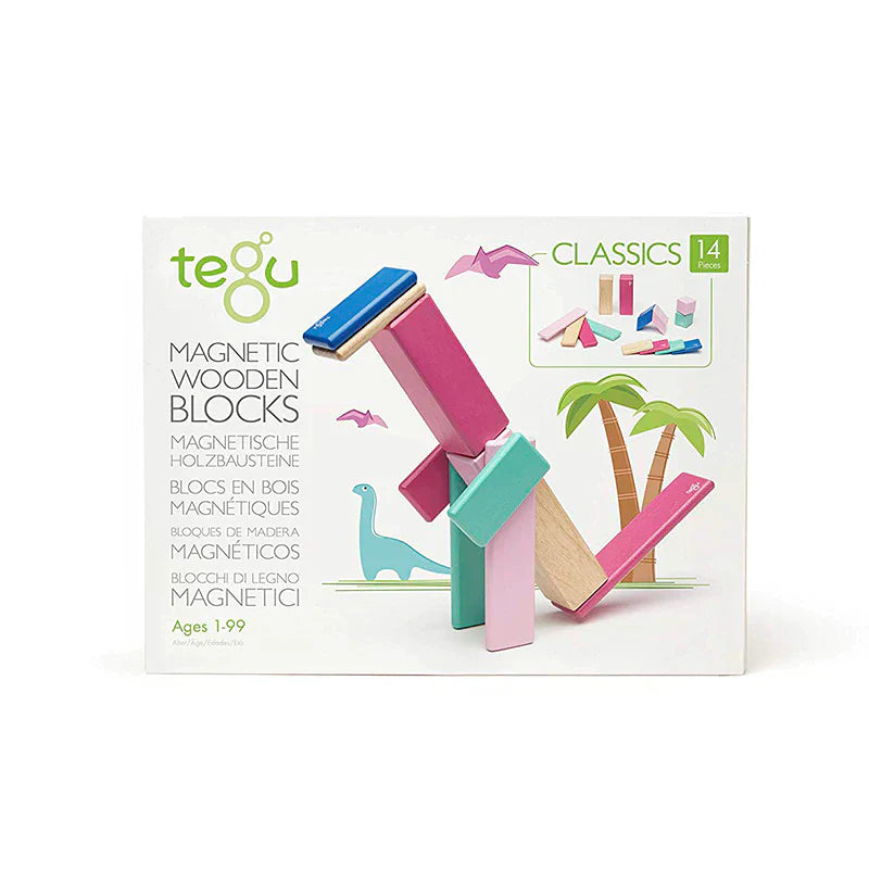 Magnetic Wooden Blocks - 14 Piece Set - Blossom