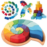 Large Ammonite Snail - Wooden Puzzle Blocks