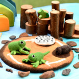 Felted Frog Life Stages Set with Life Cycle Playmat