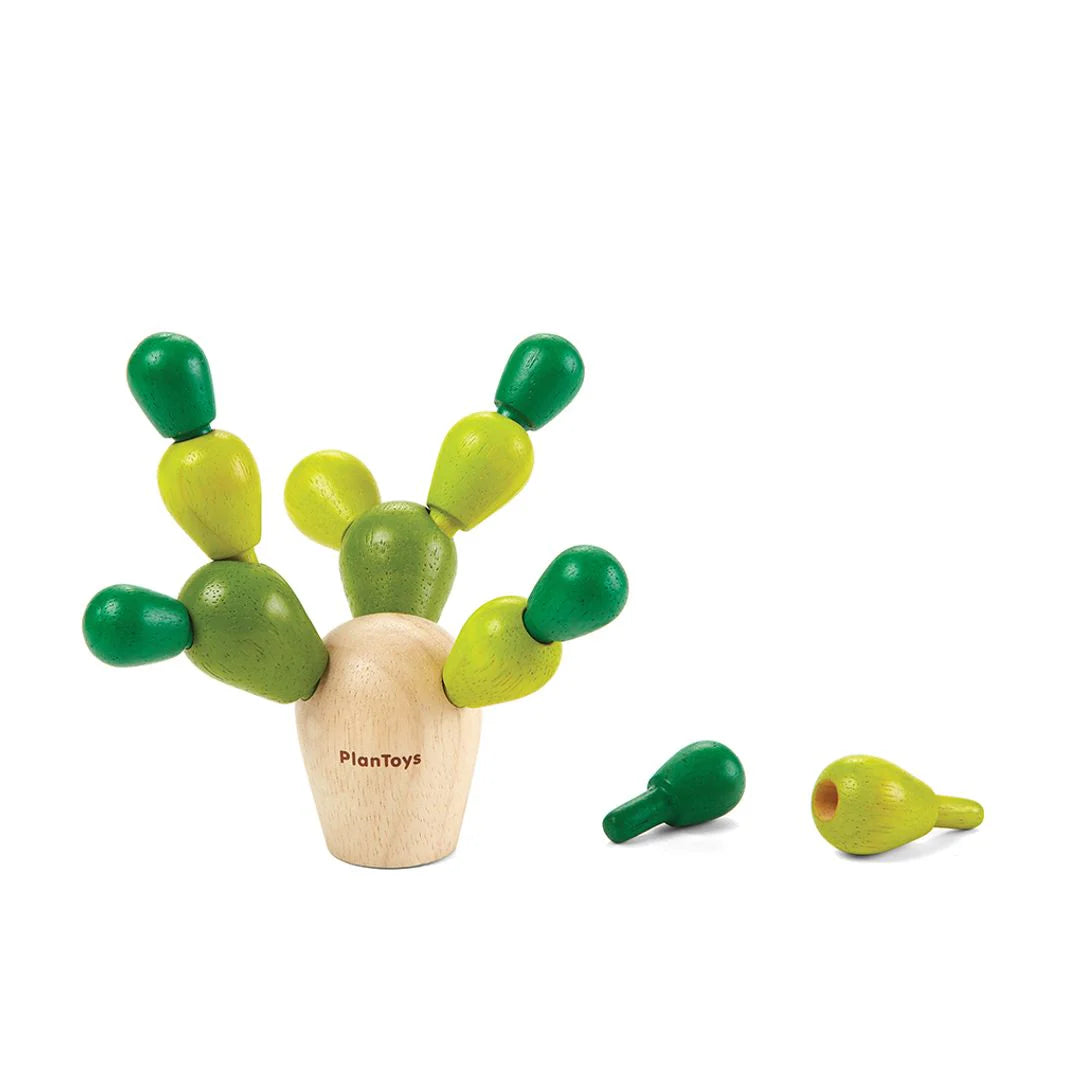 Balancing Cactus - PlanMini