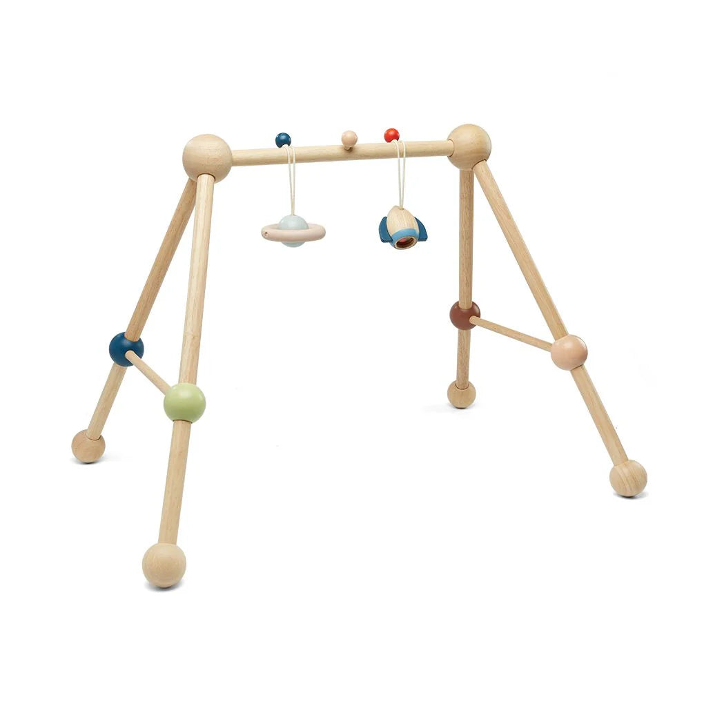 Play Gym - Orchard