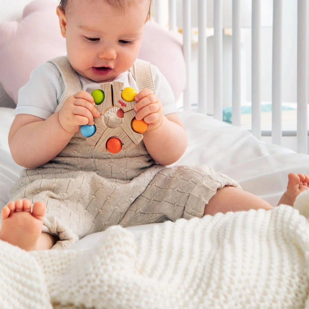 Rainbow Wheel Grasping Toy