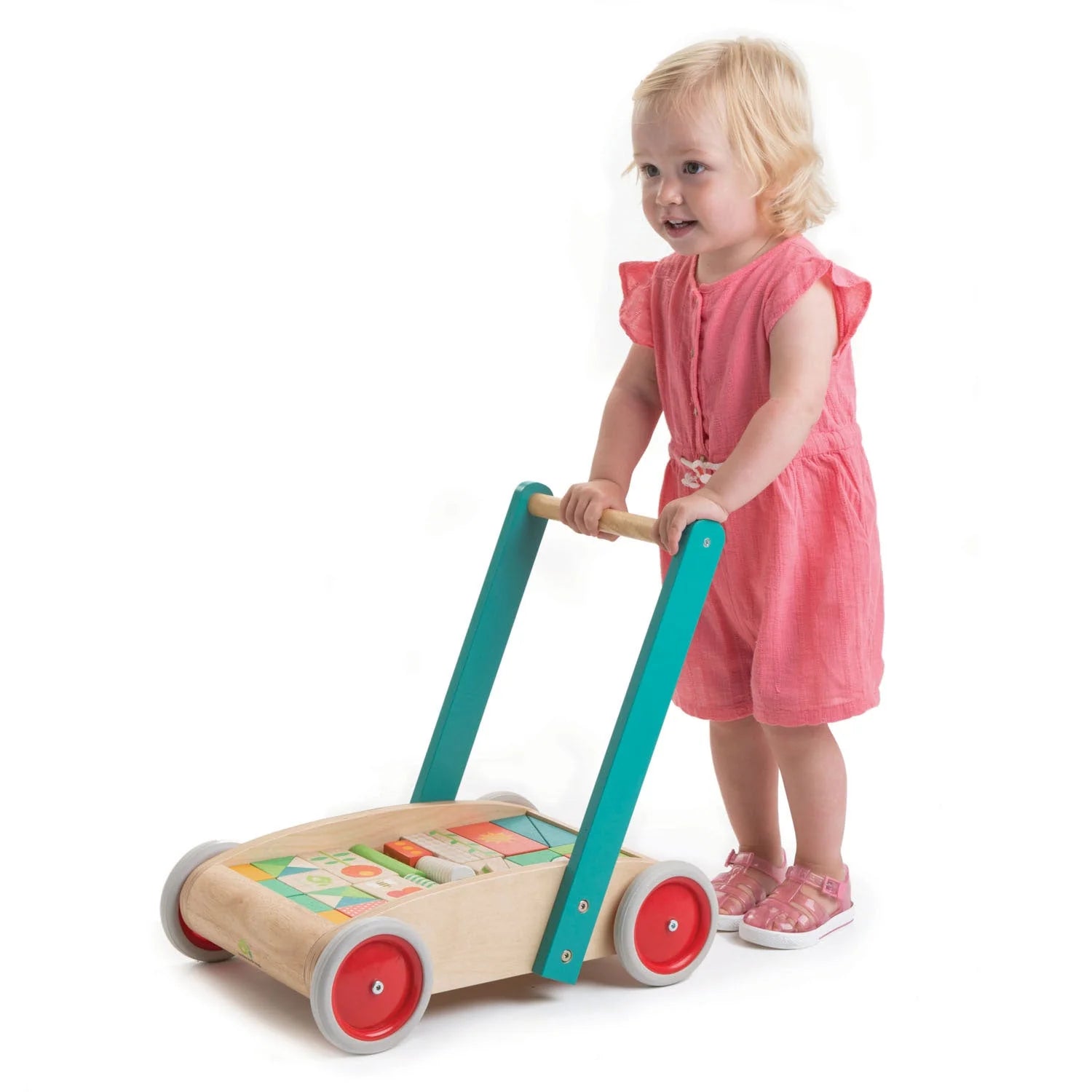 Wooden Baby Walker and Garden Blocks Set