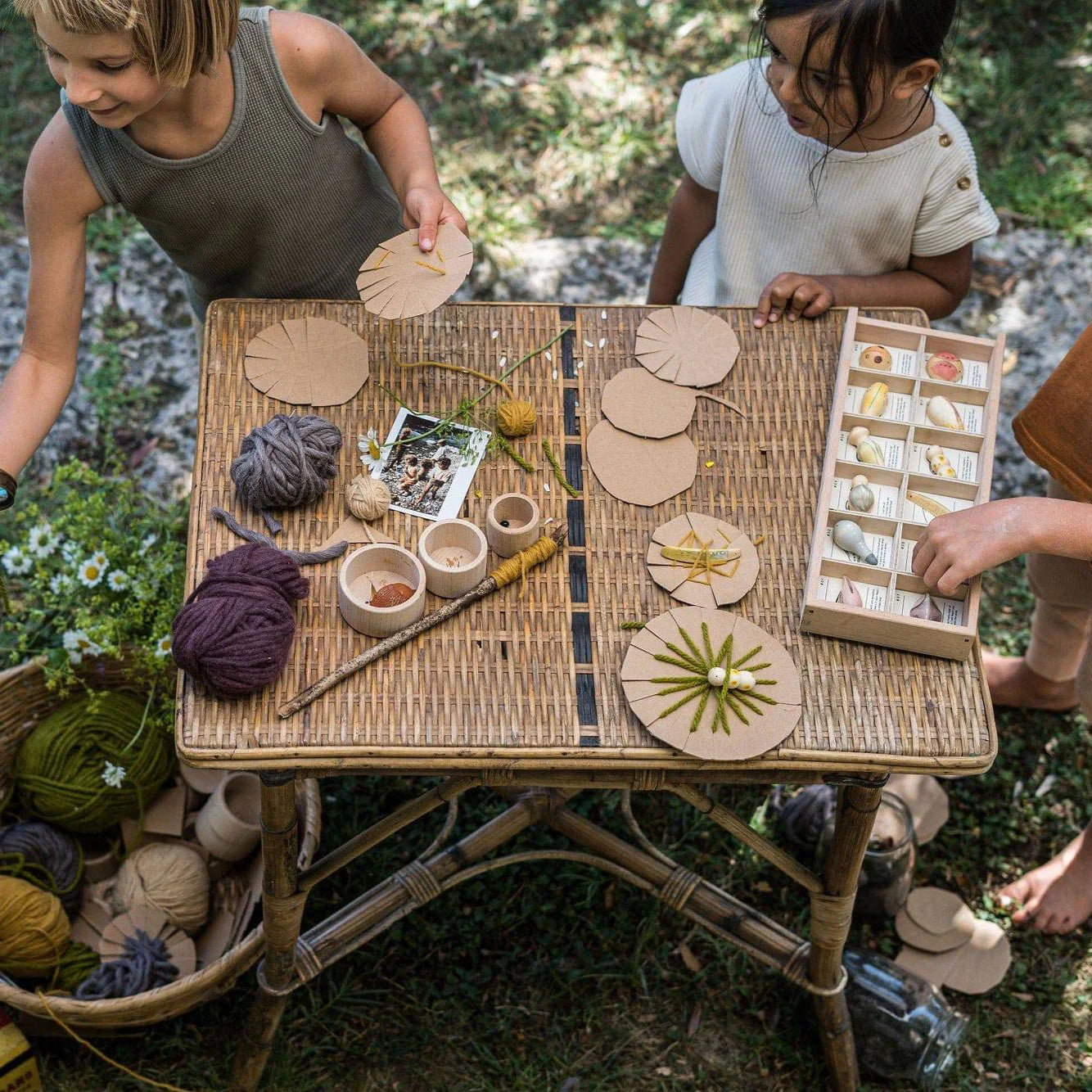 Wild: Exploration Play Set and Sorting Tray