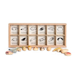 Wild: Exploration Play Set and Sorting Tray