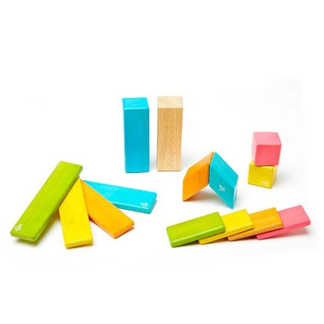 Magnetic Wooden Blocks - 14 Piece Set Tints