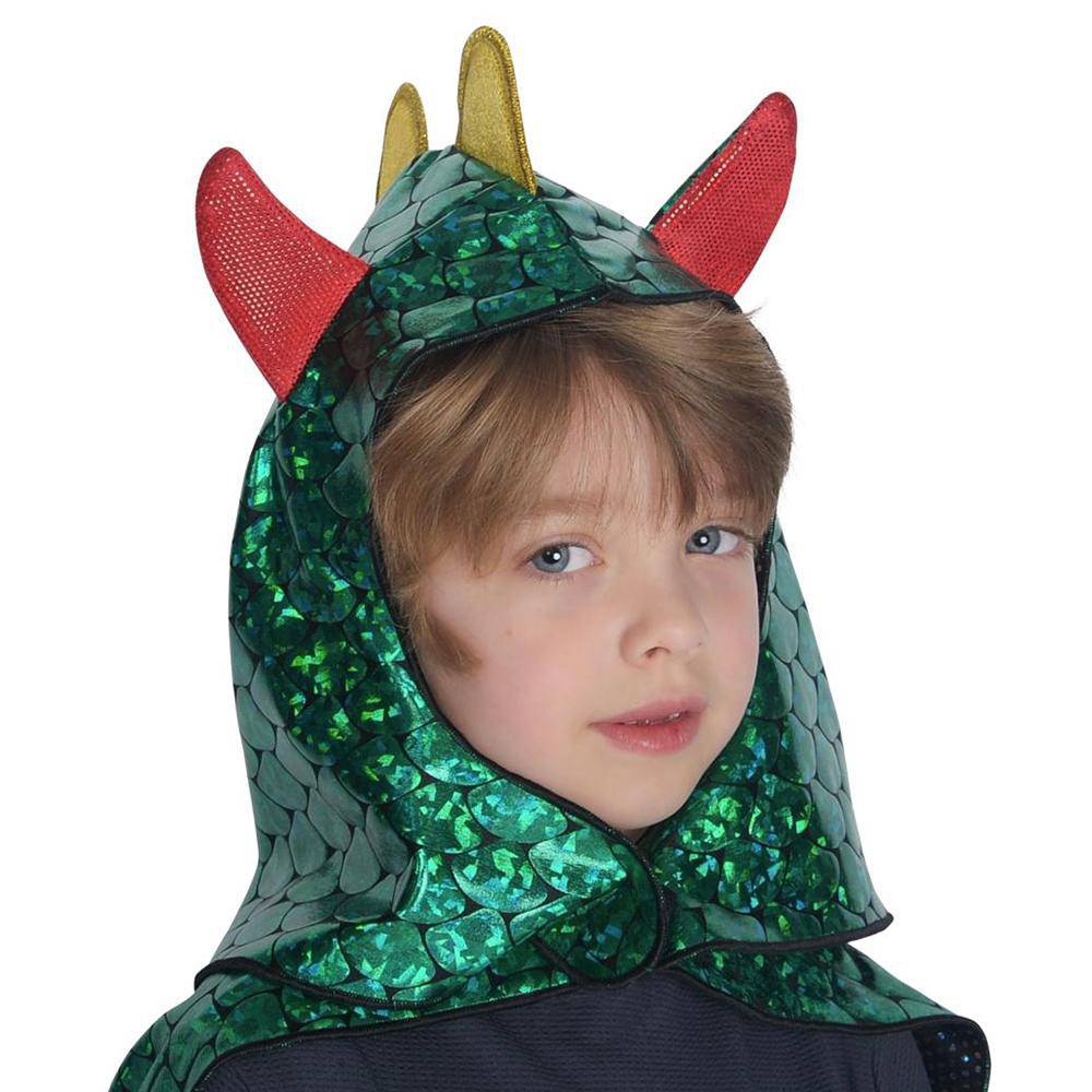 Dragon & Knight Reversible Costume