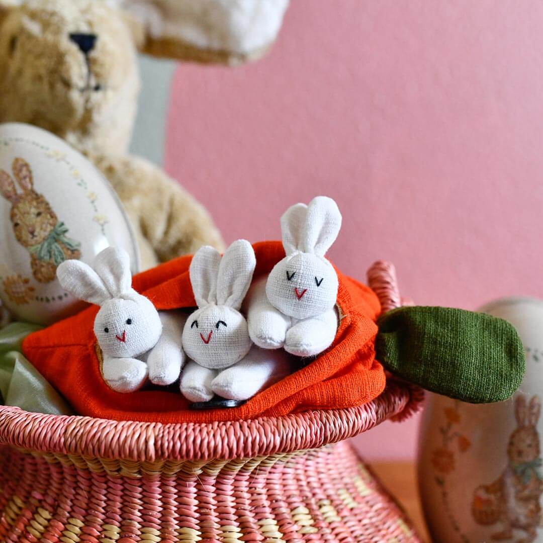 Hide-and-Seek Bunnies in Carrot Pouch