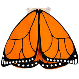 Monarch Butterfly Wings