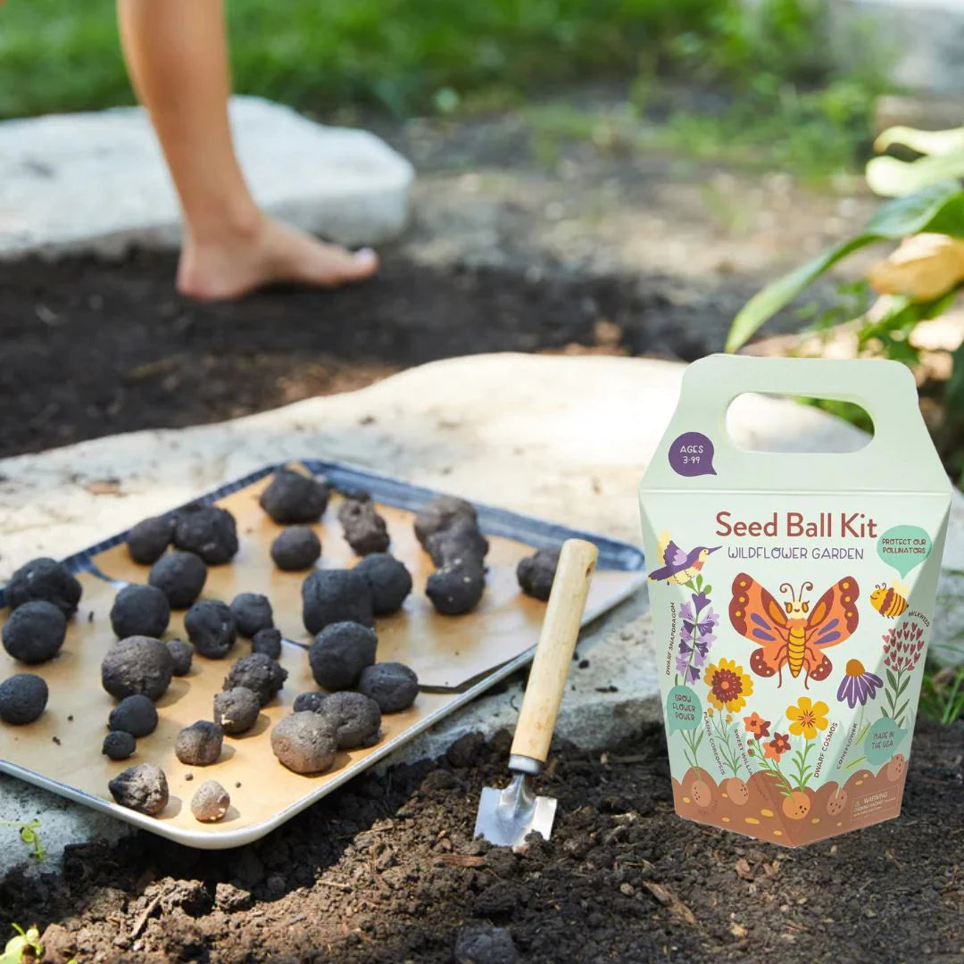 DIY Seed Ball Kit Wildflower Garden