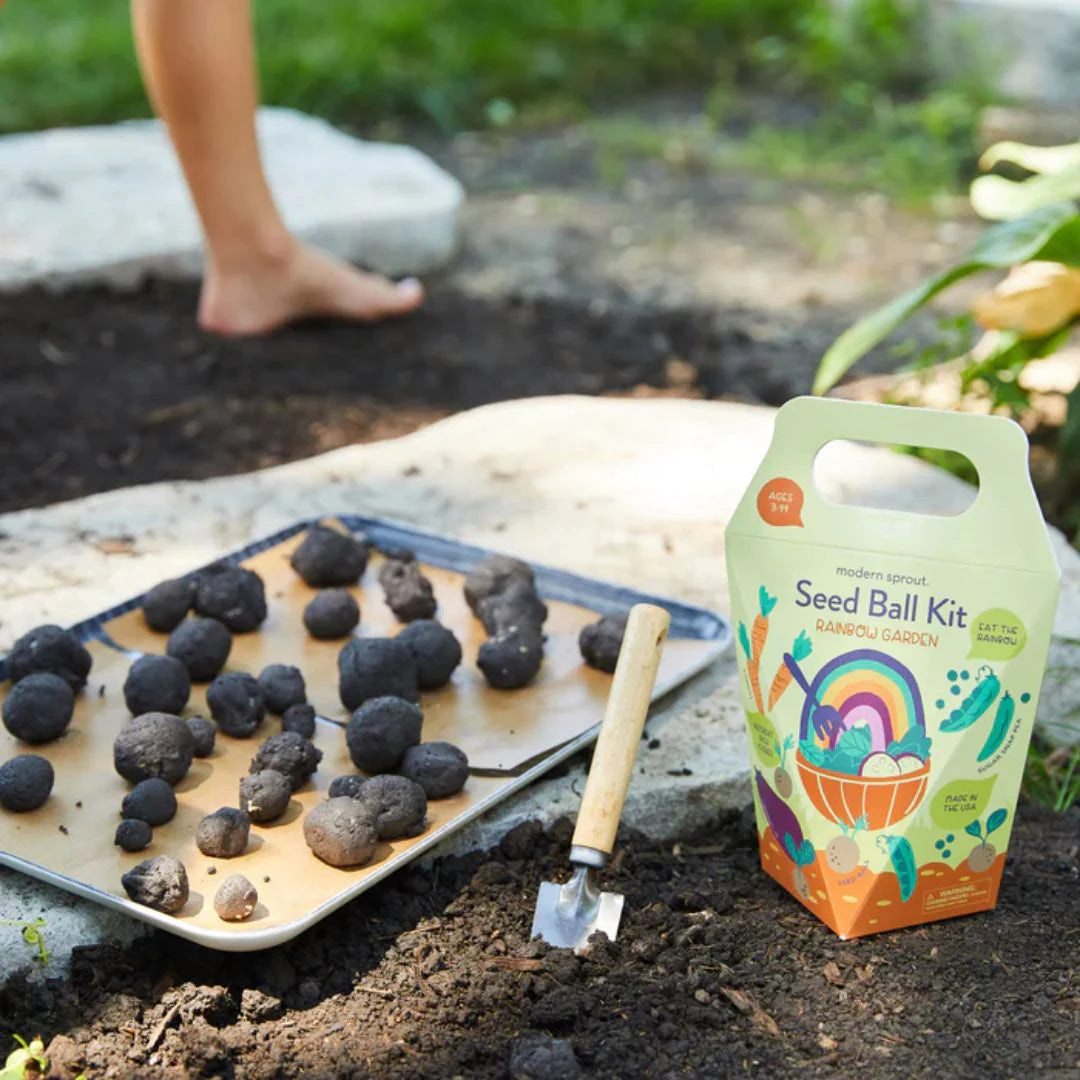 DIY Seed Ball Kit  Rainbow Garden