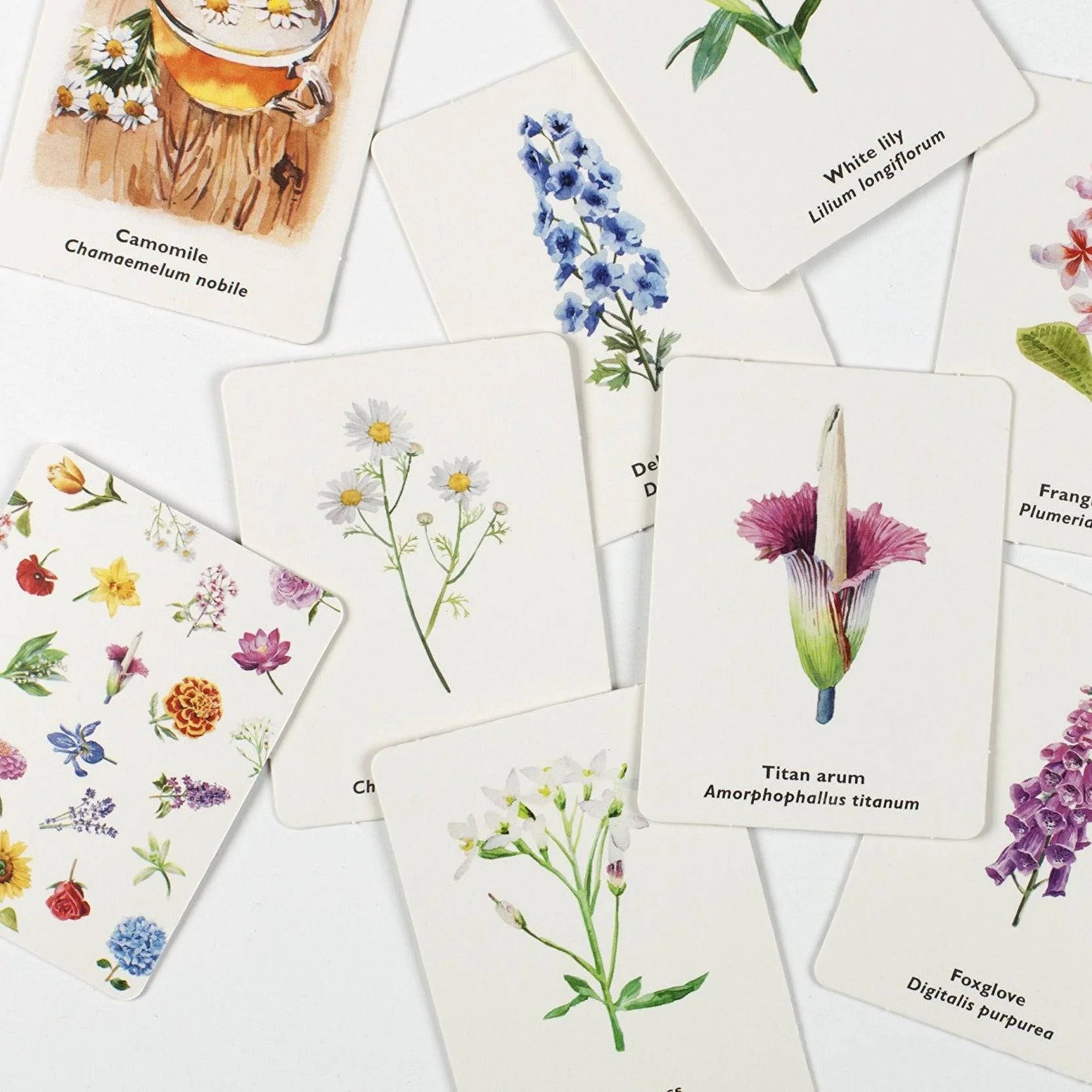 Pick a Flower Memory Card Game